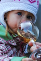 A sváb hagyományok nyomán