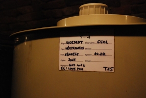 Tudtam, hogy haza érkeztem...