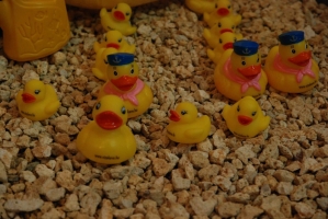 UTAZÁS 2008 Kiállítás