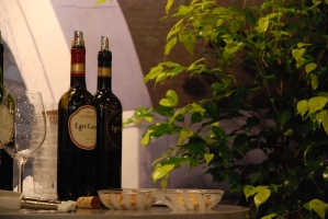 UTAZÁS 2008 Kiállítás