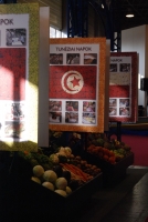 UTAZÁS 2008 Kiállítás