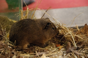 UTAZÁS 2008 Kiállítás