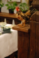 UTAZÁS 2008 Kiállítás