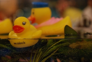 UTAZÁS 2008 Kiállítás