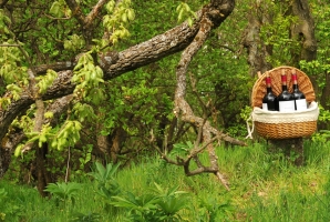 Elegancia és profizmus egy birtokon