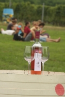 Elegancia és profizmus egy birtokon