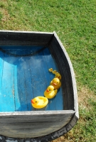 Művészi hordók a Vylyannál