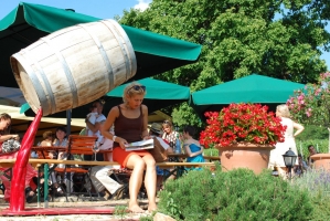 Művészi hordók a Vylyannál