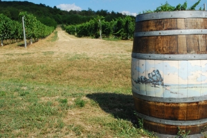 Művészi hordók a Vylyannál