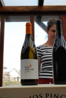 Képek az etyeki Junibor kóstolóról