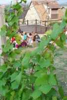 Képek az etyeki Junibor kóstolóról