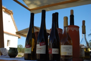 Borünnep a Skanzenben