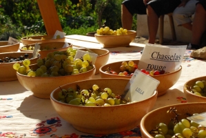 Borünnep a Skanzenben