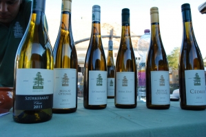 Borünnep a Skanzenben