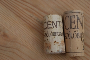 Képek az utolsó Kezes-lábosról