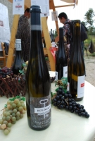 Képek az utolsó Kezes-lábosról