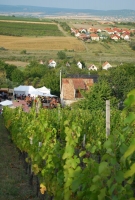 Képek az utolsó Kezes-lábosról