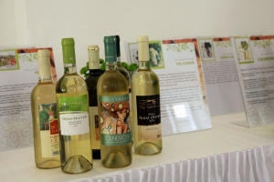 Először volt bormustra Székesfehérváron