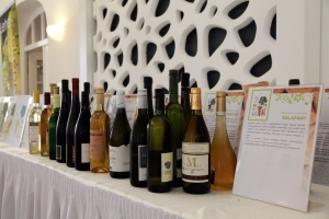 Először volt bormustra Székesfehérváron