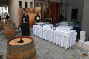 Először volt bormustra Székesfehérváron