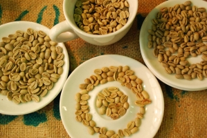 Kistermelők a világ minden részéről