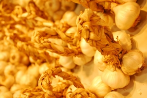 Kistermelők a világ minden részéről