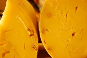 Kistermelők a világ minden részéről