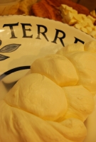 Kistermelők a világ minden részéről