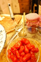 Kistermelők a világ minden részéről