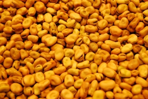 Kistermelők a világ minden részéről