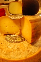 Kistermelők a világ minden részéről