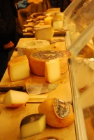 Kistermelők a világ minden részéről