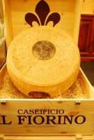 Kistermelők a világ minden részéről