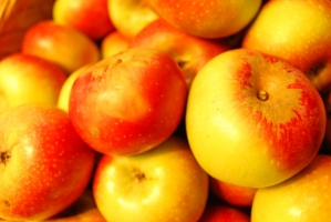 Kistermelők a világ minden részéről