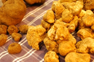 Kistermelők a világ minden részéről