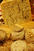 Kistermelők a világ minden részéről