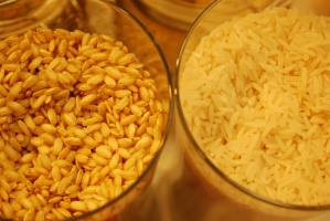 Kistermelők a világ minden részéről