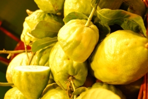 Kistermelők a világ minden részéről