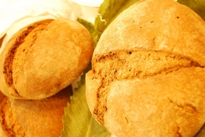 Kistermelők a világ minden részéről