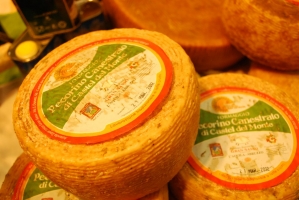 Kistermelők a világ minden részéről