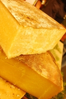 Kistermelők a világ minden részéről