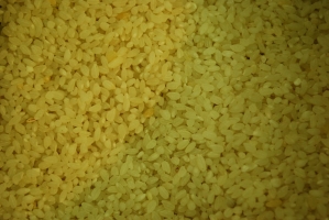 Kistermelők a világ minden részéről