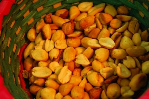 Kistermelők a világ minden részéről