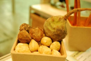 Kistermelők a világ minden részéről