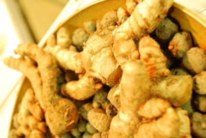 Kistermelők a világ minden részéről