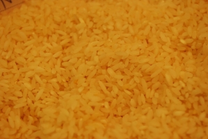 Kistermelők a világ minden részéről