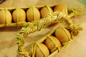 Kistermelők a világ minden részéről