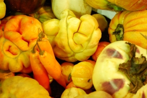 Kistermelők a világ minden részéről