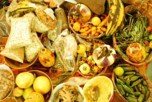 Kistermelők a világ minden részéről