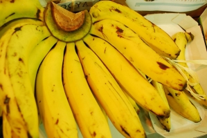 Kistermelők a világ minden részéről